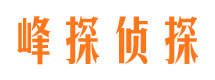 独山市调查公司